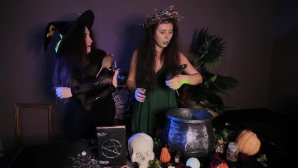 Dos Brujas Posan Con Ratas Sus Manos Pie Junto Una — Vídeos de Stock