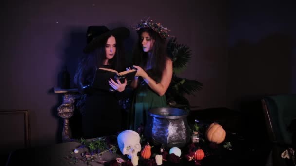 两个巫婆站在一个黑暗的房间里 手里拿着老鼠 旁边的桌子上放着一个大锅和炼金术士配料 — 图库视频影像