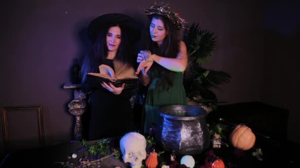 Dua Penyihir Berpose Dengan Tikus Tangan Mereka Berdiri Samping Meja — Stok Video