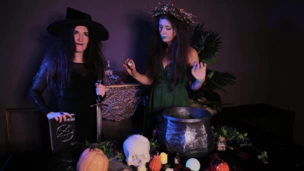 Zwei Hexen Posieren Neben Einem Tisch Mit Hexenkessel Totenkopf Und — Stockvideo