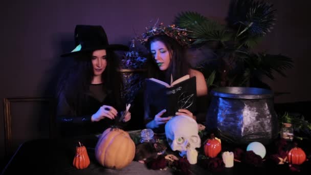 Two Witches Pose Sitting Table Cauldron Skull Pumpkins Alchemical Ingredients — Stock Video