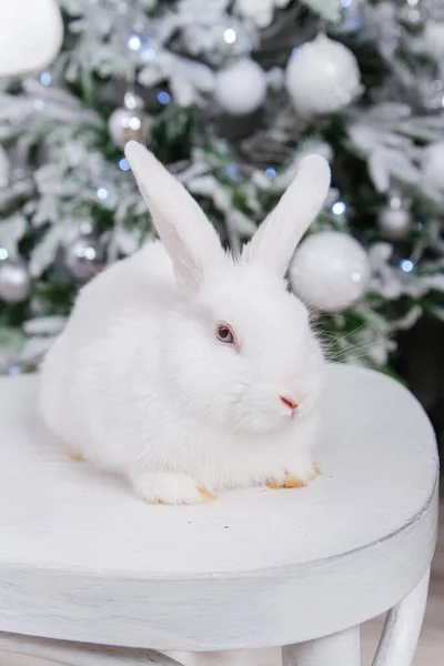 Coniglio Bianco Soffice Sullo Sfondo Bokeh Dell Albero Natale — Foto Stock
