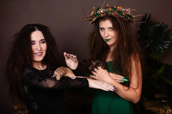 Twee Heksen Met Ratten Hun Handen Poseren Tegen Een Donkere — Stockfoto
