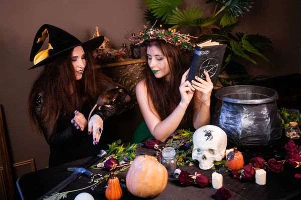 Two witches sit at a table with a rat, pumpkins, skull, herbs and a cauldron, coven concept, halloween celebration.