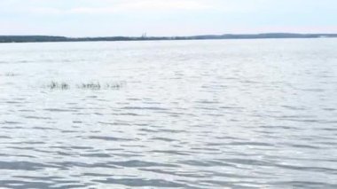 Su sıçratan dalgaların, nehir kıyısının, bir yaz akşamında gölün sesini içeren video..