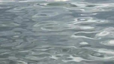 Su sıçratan dalgaların, nehir kıyısının, bir yaz akşamında gölün sesini içeren video..