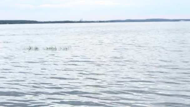 Βίντεο Τον Ήχο Του Παφλασμού Κύματα Όχθη Του Ποταμού Λίμνη — Αρχείο Βίντεο
