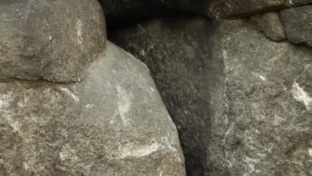 Gladde Camerabeweging Selectieve Focus Twee Menselijke Schedels Liggen Stenen — Stockvideo