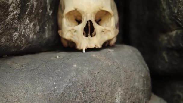 Smooth Camera Movement Selective Focus Two Human Skulls Lie Stones — Stock Video