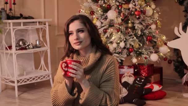 Retrato Una Joven Atractiva Suéter Cálido Posando Con Una Taza — Vídeos de Stock