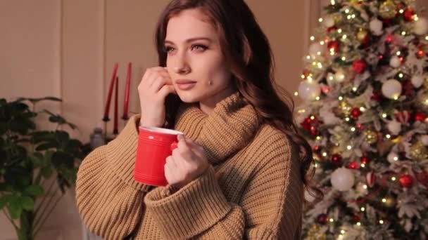 Retrato Una Joven Atractiva Suéter Cálido Posando Con Una Taza — Vídeo de stock