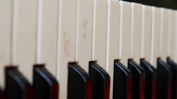 Dikey Video Düz Kamera Hareketi Seçici Odak Piyano Tuşlarına Yakın — Stok video