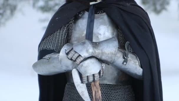 Potret Seorang Pejuang Fantasi Abad Pertengahan Dalam Helm Bertanduk Pelindung — Stok Video