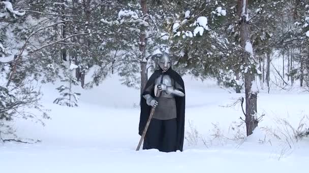 Portret Van Een Middeleeuwse Fantasiekrijger Een Gehoornde Helm Stalen Borstplaat — Stockvideo