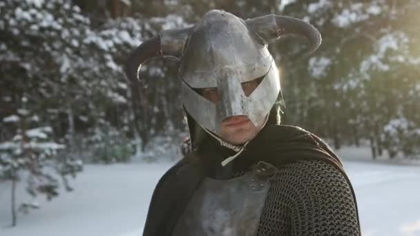 Medieval Fantasy Warrior Horned Helmet Posing Backdrop Sunset Winter Forest — Stock Video