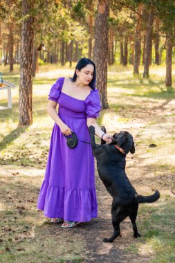 Mor elbiseli genç bir kadın yaz parkında siyah bir Labrador köpeğiyle yürüyor..