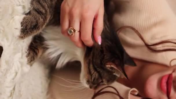 Genç Bir Kadın Gri Bir Tekir Kedi Bir Halıya Uzanmış — Stok video
