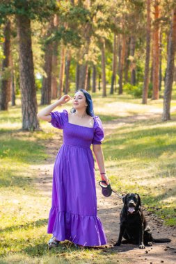 Mor elbiseli genç bir kadın yaz parkında siyah bir Labrador köpeğiyle yürüyor..