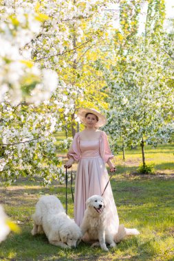 Bir bahar parkının arka planında duran pembe elbiseli ve şapkalı güzel bir genç kadının tam boy portresi ve tasmalı iki beyaz köpekle çiçek açan elma ağaçları..
