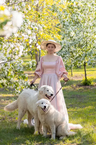 Bir bahar parkının arka planında duran pembe elbiseli ve şapkalı güzel bir genç kadının tam boy portresi ve tasmalı iki beyaz köpekle çiçek açan elma ağaçları..