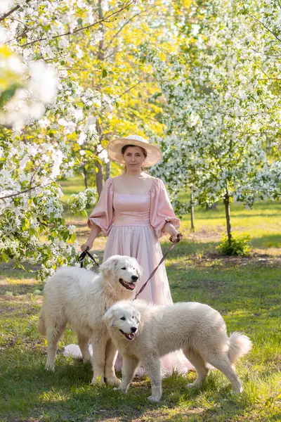 Bir bahar parkının arka planında duran pembe elbiseli ve şapkalı güzel bir genç kadının tam boy portresi ve tasmalı iki beyaz köpekle çiçek açan elma ağaçları..