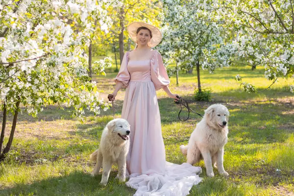 Bir bahar parkının arka planında duran pembe elbiseli ve şapkalı güzel bir genç kadının tam boy portresi ve tasmalı iki beyaz köpekle çiçek açan elma ağaçları..