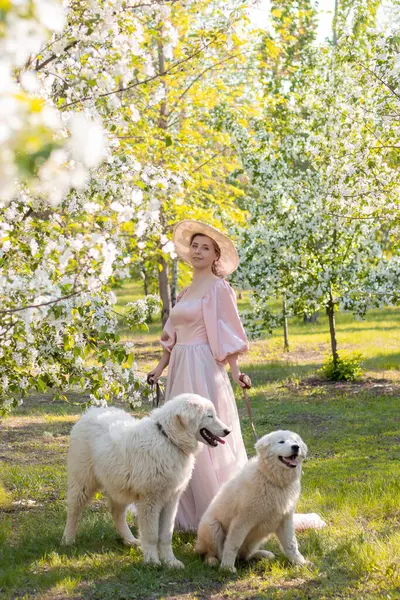 Bir bahar parkının arka planında duran pembe elbiseli ve şapkalı güzel bir genç kadının tam boy portresi ve tasmalı iki beyaz köpekle çiçek açan elma ağaçları..