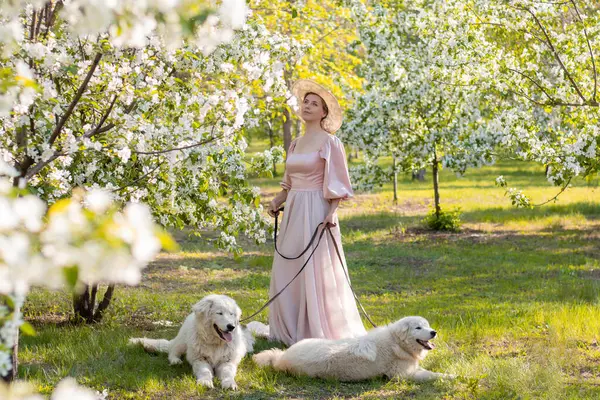 Bir bahar parkının arka planında duran pembe elbiseli ve şapkalı güzel bir genç kadının tam boy portresi ve tasmalı iki beyaz köpekle çiçek açan elma ağaçları..