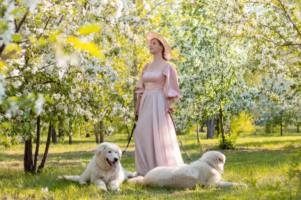 Bir bahar parkının arka planında duran pembe elbiseli ve şapkalı güzel bir genç kadının tam boy portresi ve tasmalı iki beyaz köpekle çiçek açan elma ağaçları..