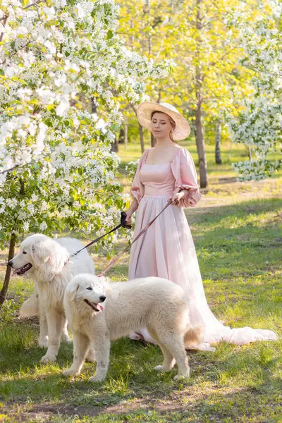 Bir bahar parkının arka planında duran pembe elbiseli ve şapkalı güzel bir genç kadının tam boy portresi ve tasmalı iki beyaz köpekle çiçek açan elma ağaçları..