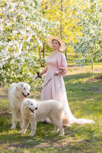 Bir bahar parkının arka planında duran pembe elbiseli ve şapkalı güzel bir genç kadının tam boy portresi ve tasmalı iki beyaz köpekle çiçek açan elma ağaçları..