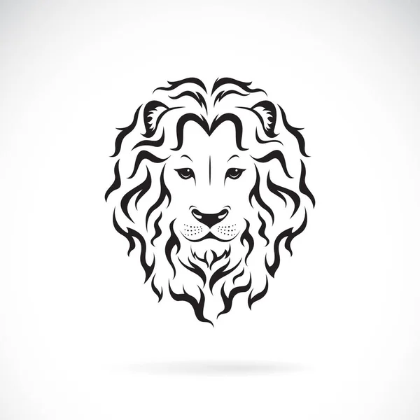Wektor Projektu Głowy Lwa Samca Białym Tle Dzikie Zwierzęta Łatwa — Wektor stockowy