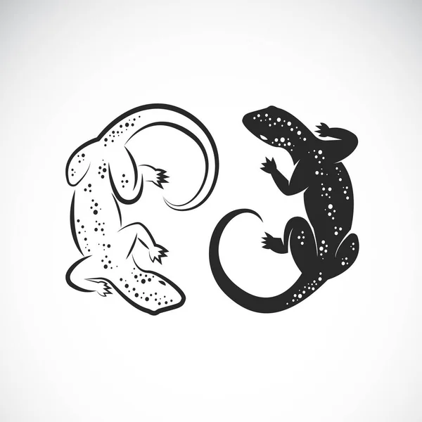 白い背景にトカゲやカメレオンのデザインのベクトル 野生動物 編集しやすいレイヤーベクトルイラスト — ストックベクタ