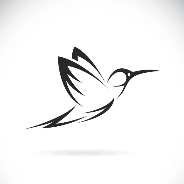 Wektor Projektu Kolibra Białym Tle Dzikie Zwierzęta Ptaki Łatwa Edytowalna — Wektor stockowy