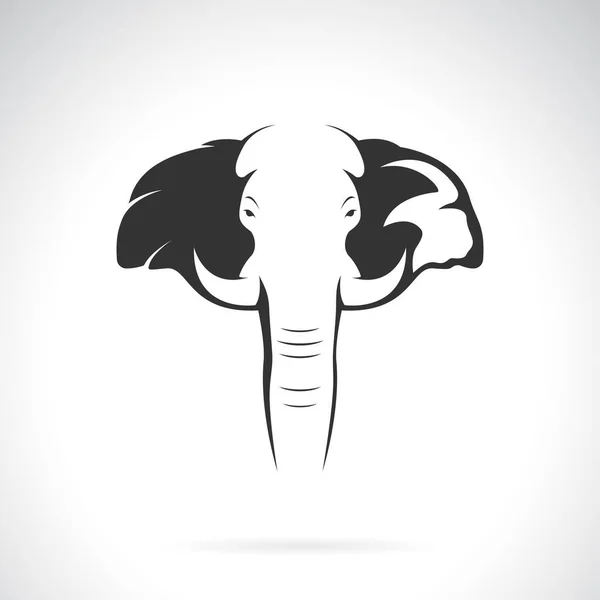 Vecteur Dessin Tête Éléphant Sur Fond Blanc Animaux Sauvages — Image vectorielle