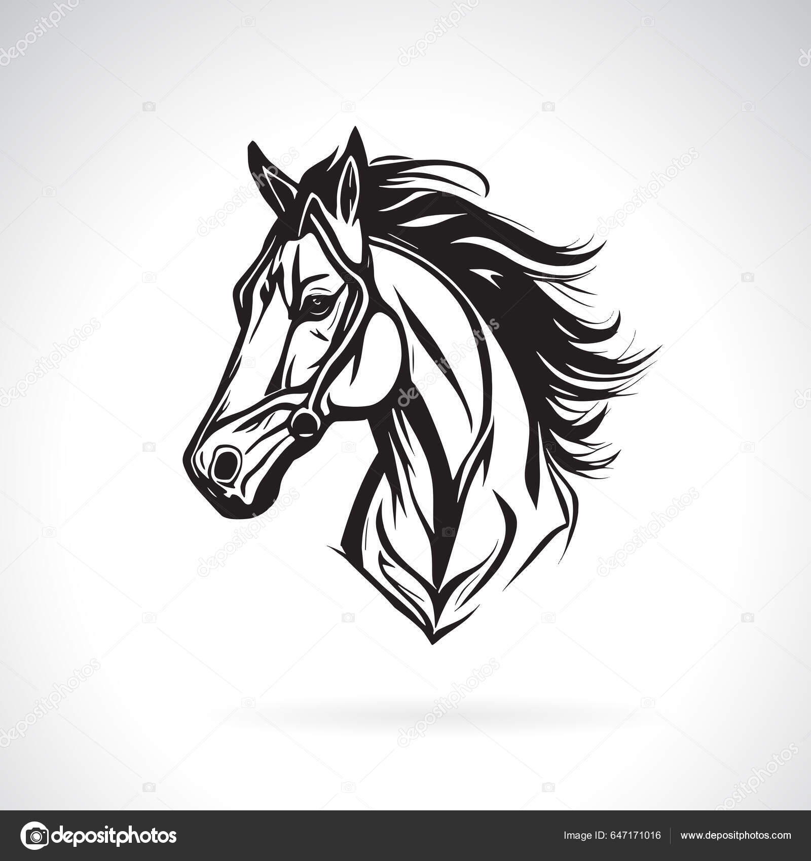 Cabeça De Cavalo Ilustração Vetorial Corrida De Adestramento Xadrez Vetor  PNG , Adestramento, Corrida, Xadrez Imagem PNG e Vetor Para Download  Gratuito