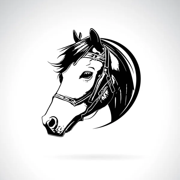 Vetor Design Cabeça Cavalo Fundo Branco Ilustração Vetorial Camadas Editável — Vetor de Stock