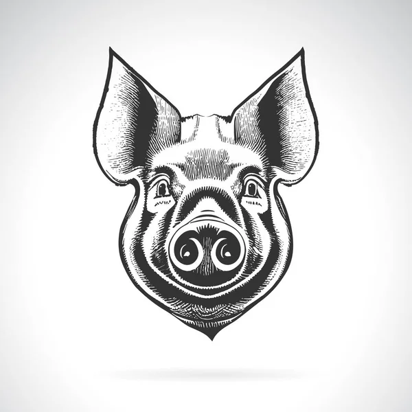 白い背景に豚の頭のデザインのベクトル 編集が簡単なレイヤーベクトルイラスト 農場の動物 — ストックベクタ