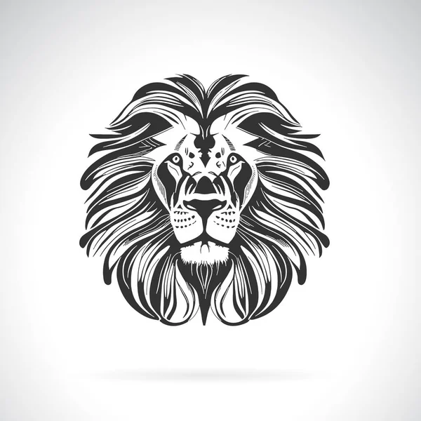 白色背景的狮头设计矢量 易于编辑的分层矢量图解 野生动物 — 图库矢量图片