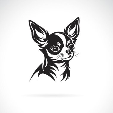 Vector of a chihuahua dog design on white background. Pet. Animals.