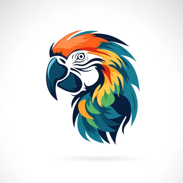 Vector Macaw Bird Head Design White Background Wild Animals — Wektor stockowy