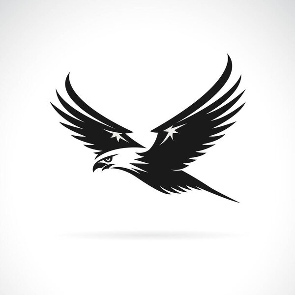 Vector of an eagle design on white background. Easy editable layered vector illustration. Bird. Wild Animals.