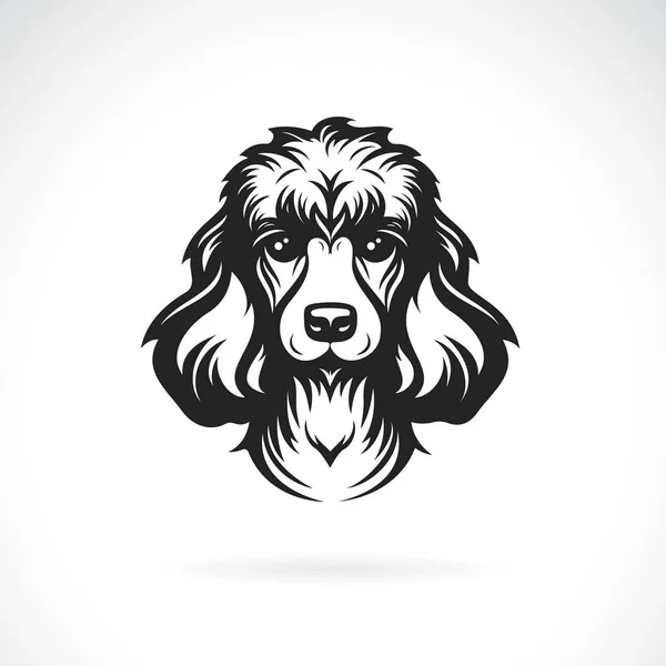 Vetor Projeto Cabeça Cão Poodle Fundo Branco Ilustração Vetorial Camadas —  Vetores de Stock