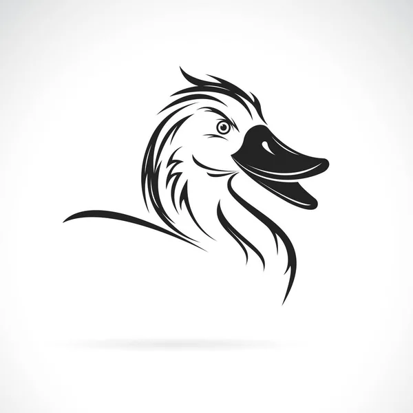 Vektor Eines Entenkopfdesigns Auf Weißem Hintergrund Einfach Editierbare Mehrschichtige Vektorillustration — Stockvektor