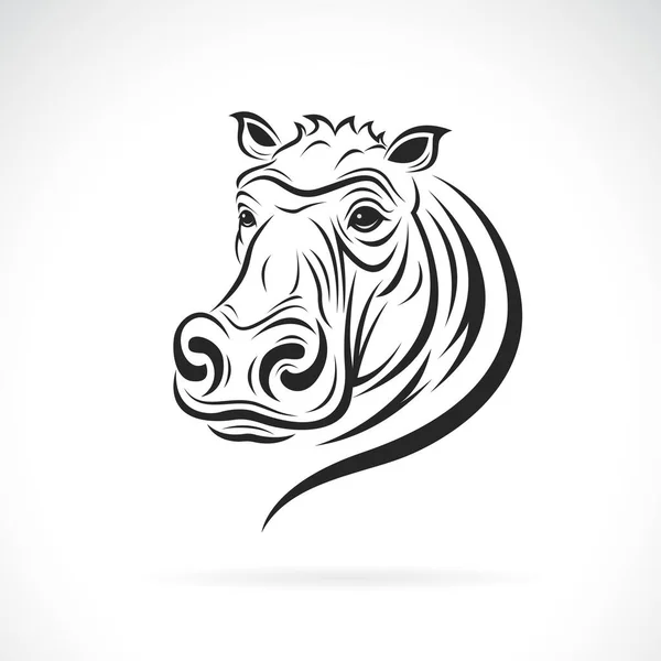 透明な背景に孤立したカバの頭のデザイン 野生動物 — ストックベクタ