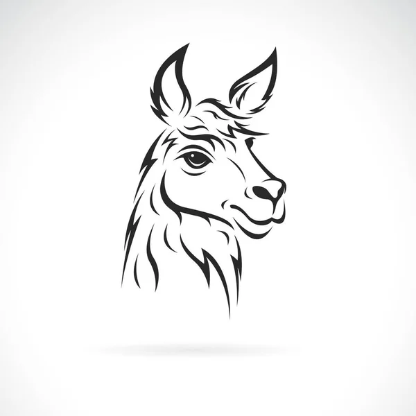 白い背景にラマの頭のデザインのベクトル 編集が簡単なレイヤーベクトルイラスト 野生動物 — ストックベクタ
