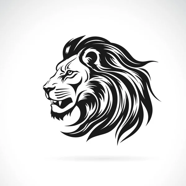 Vecteur Motif Tête Lion Sur Fond Blanc Illustration Vectorielle Couches — Image vectorielle