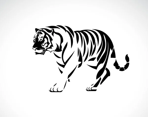 Tigris Vektor Fehér Háttérrel Vadállatok Könnyen Szerkeszthető Réteges Vektor Illusztráció — Stock Vector