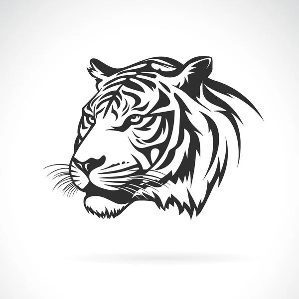 Wektor Głowy Tygrysa Białym Tle Dzikie Zwierzęta Łatwa Edytowalna Ilustracja — Wektor stockowy