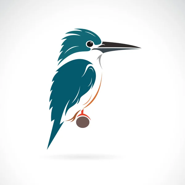 Beyaz Arka Planda Kingfisher Tasarımının Taşıyıcısı Kuş Vahşi Yaşam Hayvanları — Stok Vektör